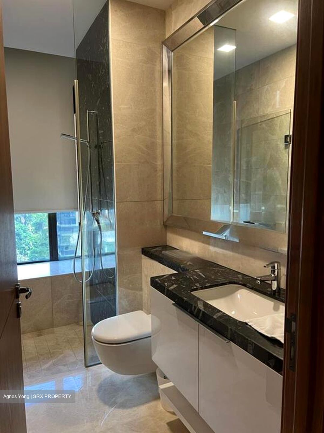 One Balmoral (D10), Condominium #452879971